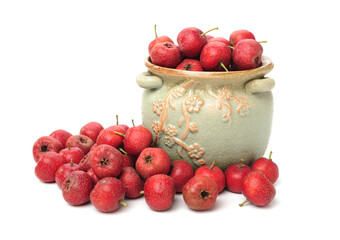 fresh hawthorn on white background.