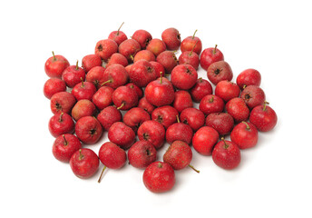 fresh hawthorn on white background.