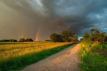 Naklejka na ściany i meble Storm cloud with rainbow, dirt road through the meadow