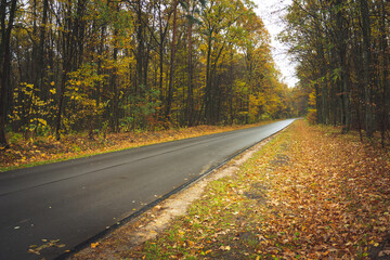 Fototapeta premium Asphalt wet road through the autumn forest