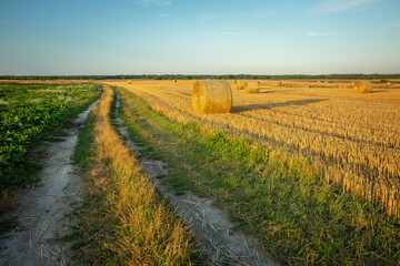 Fototapeta na wymiar Country road and hay bales in the field