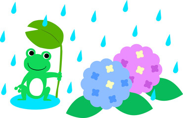 雨の中葉っぱの傘をさしてアジサイを見つめるカエル