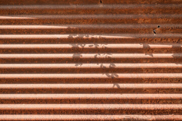 Shadows on the old galvanized sheet, space for design.