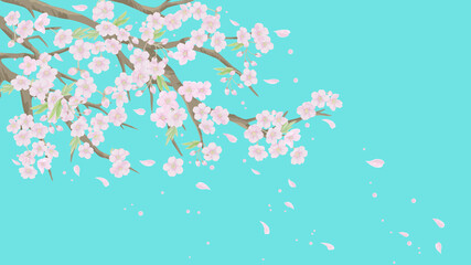 桜のイラスト/空色背景2【ベクター】