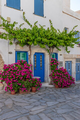 Fototapeta na wymiar Traditional alley with a narrow street, whitewashed houses and a blooming bougainvillea in pyrgos Tinos island, Greece.