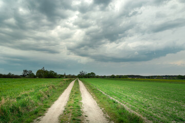 Fototapeta na wymiar Country road through green fields and cloudy sky