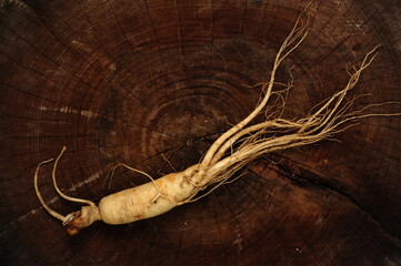 ginseng and slices ,medicine background.