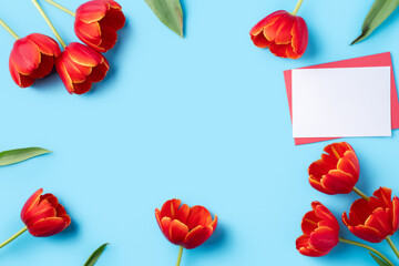 Design concept of Mother's day holiday greeting gift with red tulip bouquet on bright blue table background