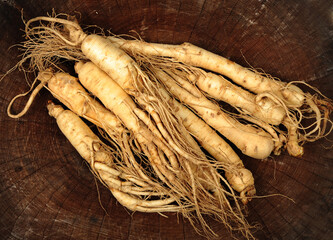 ginseng and slices ,medicine background.