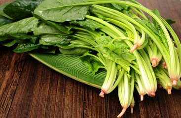 spinach leaf on white background.