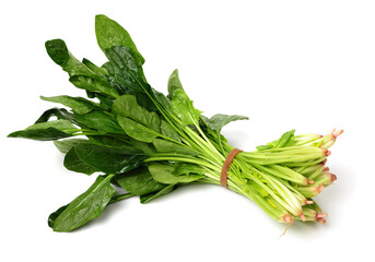 spinach leaf on white background.