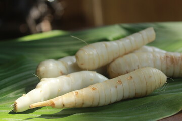arrowroot (Maranta arundinacea)on green leaves