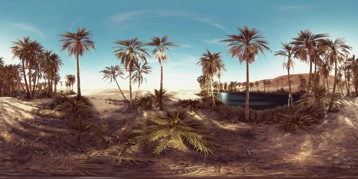 VR360 view of palm oasis in desert
