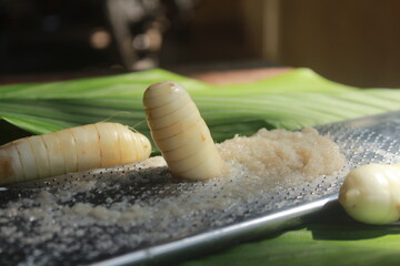 arrowroot (Maranta arundinacea)on green leaves