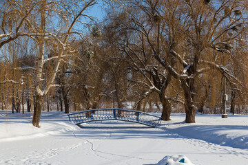 Snowy bright day in city park on sunny winter day.