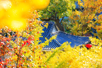 Ancient Chinese architecture and ginkgo trees in autumn