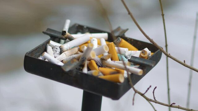 Cigarette sticks in an ashtray in 4k slow motion 60fps