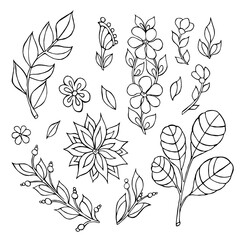 Set with flowers and leaves. Decorative handmade elements. Vector illustration