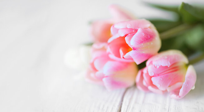 Beautiful bouquet with pinr tulips close up