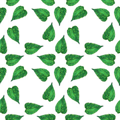 Nettle leaf round seamless pattern on white background. Watercolor hand drawing illustration. Perfect medical and herbal digital paper, wallpaper.