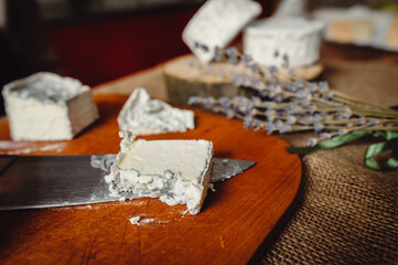 A piece of Valencay cheese on a knife. Cut the cheese with blue mold, close-up. French soft cheese...