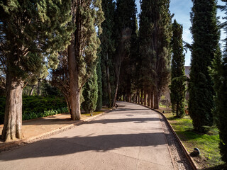 Park near Alhambra in Granada