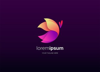Butterlfy colorful abstract logo design