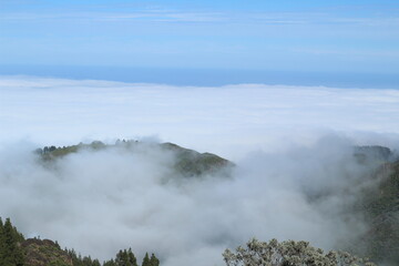 fog in the mountains
