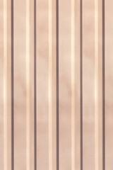 Fototapeta premium Texture of the wall with beige vertical siding panels in strips