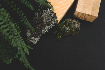 Natural mockup of moss,wood, tree bark and fern for cosmetics on black and grey background.