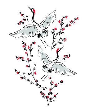 Hand drawn Crane bird, Graphic illustration decoration bird vector art