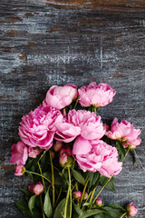 Fluffy bouquet of pink fresh peony flowers on shabby wooden background