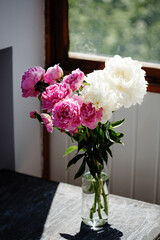 Flower bouquet of pink and white fresh peony flowers in a vase in sunshine, spring and summer