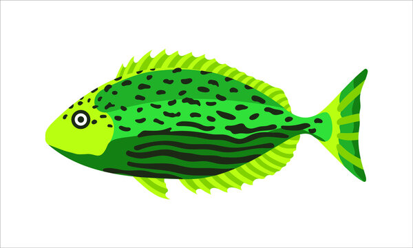 siganus javus, one of the rabbitfish. collection set of coral fish illustration. the hand drawing of under the sea life. hand drawn vector animation. adorable and beautiful fishes of marine life.
