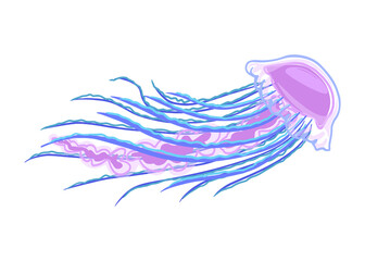 Marine jellyfish, with long tentacles. Marine ocean fish. Vector isolated object, cartoon illustration