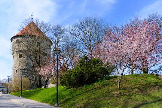 KiekInDeKok Bilder Durchsuchen 44 Archivfotos, und