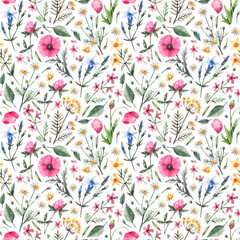 Floral watercolor pattern with poppies, bells, chamomile, clover and other meadow grasses. Cute seamless pattern hand-drawn. Summer flower texture with wild plants.