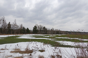 Melting snow in the spring in the fields