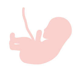pink fetus isolated