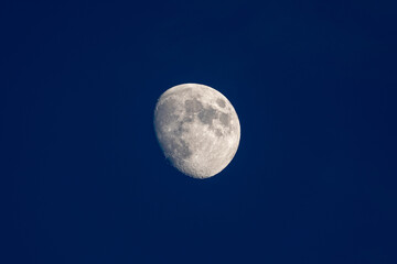 Zunehmender fast Vollmond zur blauen Stunde.