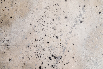 gray background splatter masonry paint . Bad home interior decoration textured concept