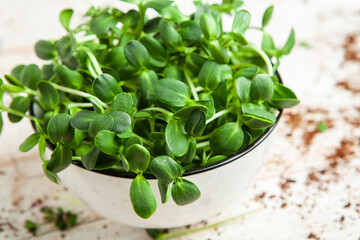 Different types of micro green dill sprouts.  Growing seed germination at home. Organic raw food. Peas, arugula, sunflower, red cabbage