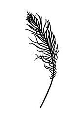 Fototapeta premium A fern leaf. Contour drawing by hand. Doodle style.
