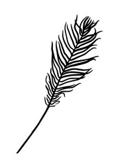 A fern leaf. Contour drawing by hand. Doodle style.