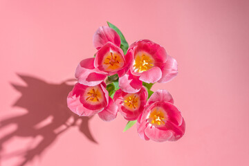 Fototapeta na wymiar Pink tulips in a vase on a pink background, hard sunlight. Floral spring background.Top view.