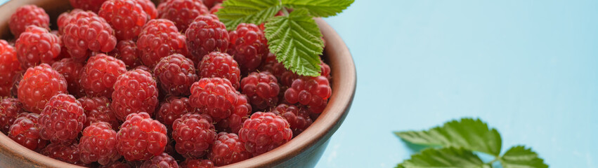 Harvest fresh raspberries in bowl banner with copy space