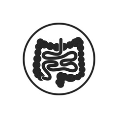 Vector icon of intestines isolated. Human organs