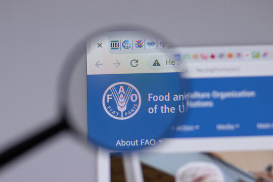 New York, USA - 18 March 2021: FAO Food and Agriculture Organization company logo icon on website, Illustrative Editorial.