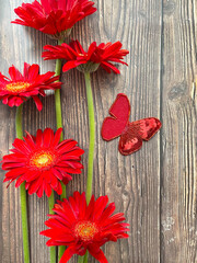 red flowers