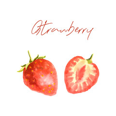 Watercolor botanic illustration with strawberry on white background. Hand drawn food collection with berries. Perfect for cosmetics and perfumes, culinary books, magazines, textiles.